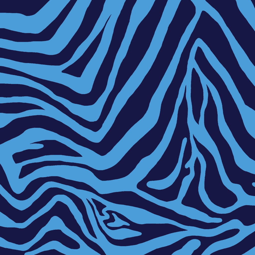 Cecilia Print Short Sleeve Godet Dress – 69932